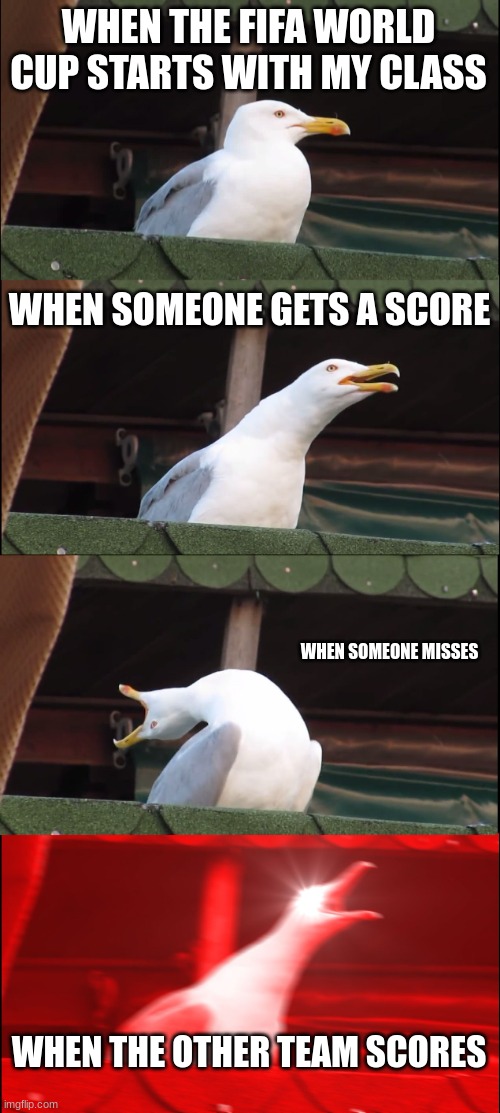 Inhaling Seagull | WHEN THE FIFA WORLD CUP STARTS WITH MY CLASS; WHEN SOMEONE GETS A SCORE; WHEN SOMEONE MISSES; WHEN THE OTHER TEAM SCORES | image tagged in memes,inhaling seagull | made w/ Imgflip meme maker