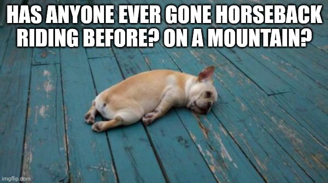 Idk I'm bored | HAS ANYONE EVER GONE HORSEBACK RIDING BEFORE? ON A MOUNTAIN? | image tagged in tired dog | made w/ Imgflip meme maker