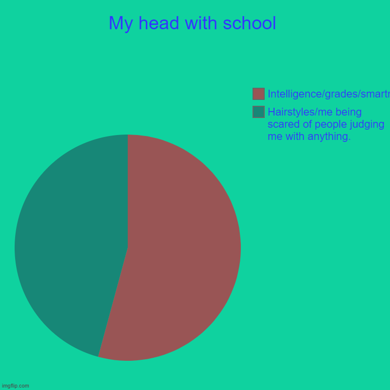 School | My head with school | Hairstyles/me being scared of people judging me with anything., Intelligence/grades/smartness | image tagged in charts,pie charts | made w/ Imgflip chart maker