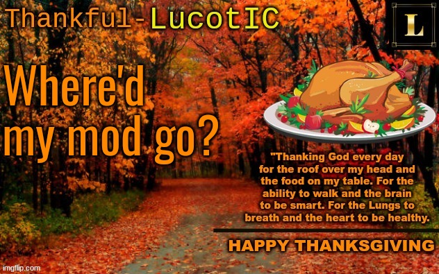 what did I do this time? | Where'd my mod go? | image tagged in lucotic thanksgiving announcement temp 11 | made w/ Imgflip meme maker