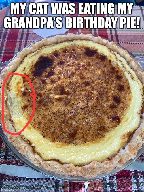 MY CAT WAS EATING MY GRANDPA’S BIRTHDAY PIE! | image tagged in cat | made w/ Imgflip meme maker