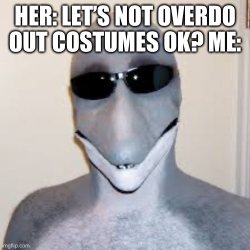 Dolphin guy is a legend | HER: LET’S NOT OVERDO OUT COSTUMES OK? ME: | image tagged in dolphin guy | made w/ Imgflip meme maker