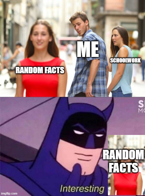 Oh, they use beaver pee in vanilla icecream? | ME; SCHOOLWORK; RANDOM FACTS; RANDOM FACTS | image tagged in memes,distracted boyfriend,batman interesting | made w/ Imgflip meme maker
