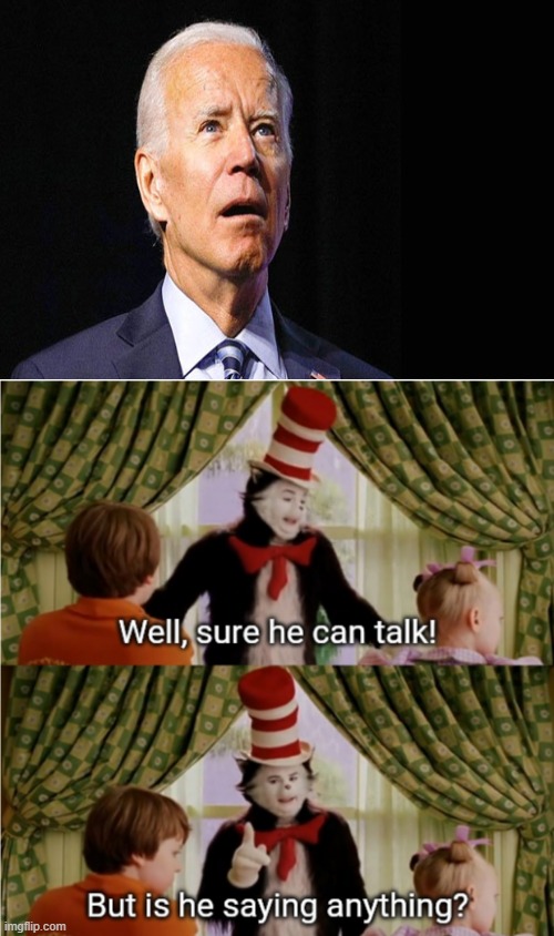 Well Sure He Can Talk But Is He Saying Anything | image tagged in well sure he can talk but is he saying anything | made w/ Imgflip meme maker