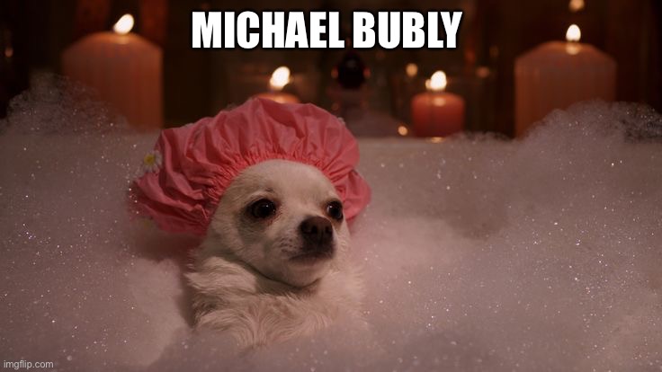 Michael Bubly | MICHAEL BUBLY | image tagged in chihuahua bubble bath | made w/ Imgflip meme maker