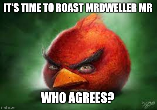 Who is against MrDweller? (apologies for Mr after MrDweller, just my keyboard is bugging)  | IT'S TIME TO ROAST MRDWELLER MR; WHO AGREES? | image tagged in realistic red angry birds | made w/ Imgflip meme maker