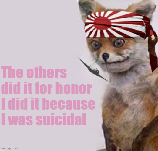 kamikaze fox | The others did it for honor
I did it because I was suicidal | image tagged in rmk | made w/ Imgflip meme maker