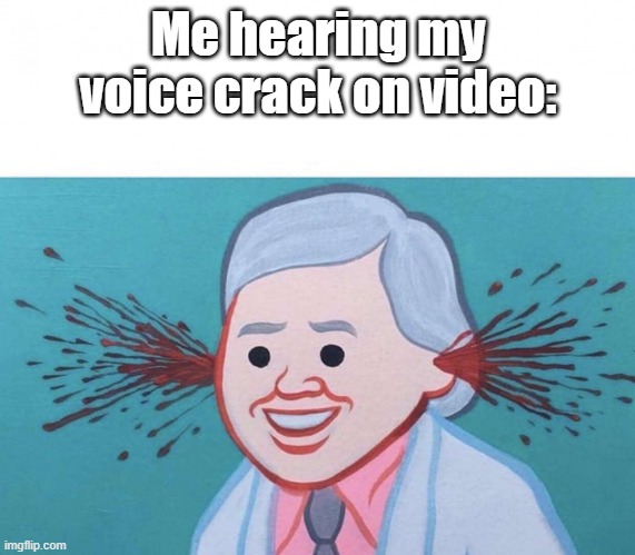 Ear Bleed | Me hearing my voice crack on video: | image tagged in ear bleed | made w/ Imgflip meme maker