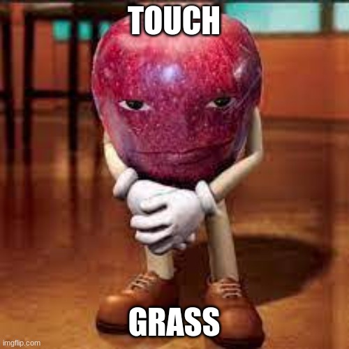 TOUCH GRASS | made w/ Imgflip meme maker