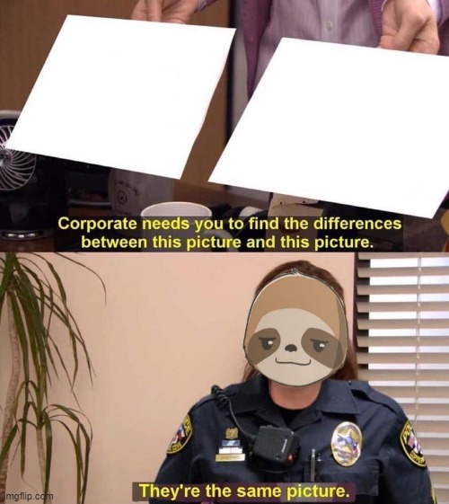 Cop sloth they're the same picture | image tagged in cop sloth they're the same picture | made w/ Imgflip meme maker