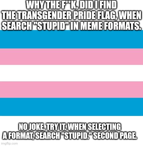 Transgender pride ISN'T stupid. | WHY THE F**K, DID I FIND THE TRANSGENDER PRIDE FLAG, WHEN SEARCH "STUPID" IN MEME FORMATS. NO JOKE, TRY IT. WHEN SELECTING A FORMAT, SEARCH "STUPID." SECOND PAGE. | image tagged in transgender flag,bullshit,lgbtq,transgender | made w/ Imgflip meme maker