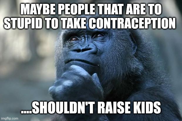 Woke are doing it for us.... | MAYBE PEOPLE THAT ARE TO STUPID TO TAKE CONTRACEPTION; ....SHOULDN'T RAISE KIDS | image tagged in deep thoughts | made w/ Imgflip meme maker