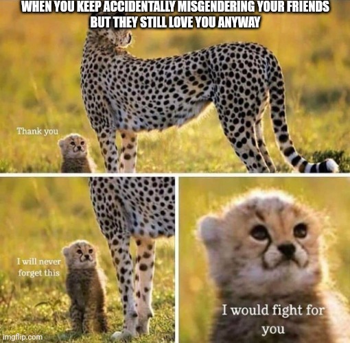 I'm sure some of you can relate | WHEN YOU KEEP ACCIDENTALLY MISGENDERING YOUR FRIENDS
 BUT THEY STILL LOVE YOU ANYWAY | image tagged in i would fight for you | made w/ Imgflip meme maker