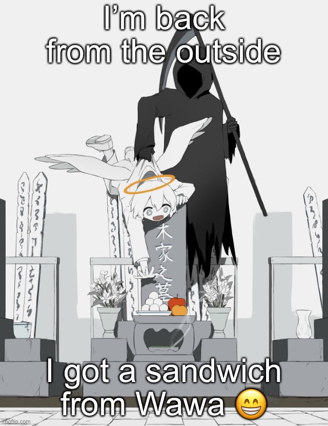 Avogado6 | I’m back from the outside; I got a sandwich from Wawa 😁 | image tagged in avogado6 | made w/ Imgflip meme maker