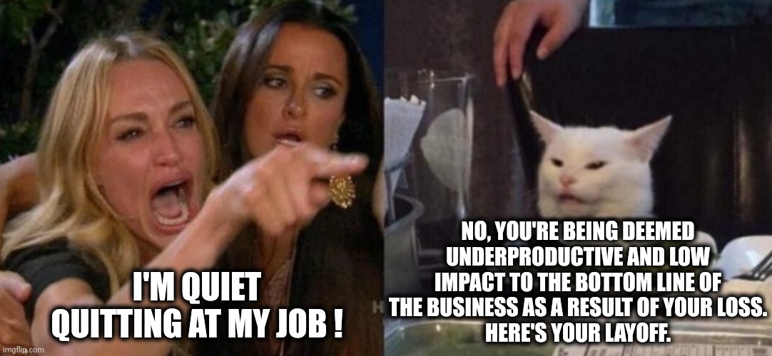 Smudge and Karen | NO, YOU'RE BEING DEEMED UNDERPRODUCTIVE AND LOW IMPACT TO THE BOTTOM LINE OF THE BUSINESS AS A RESULT OF YOUR LOSS.
HERE'S YOUR LAYOFF. I'M QUIET QUITTING AT MY JOB ! | image tagged in smudge and karen | made w/ Imgflip meme maker