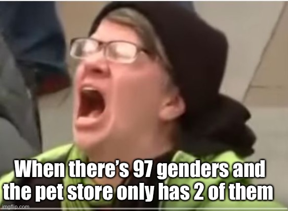 Oh the humanity | When there’s 97 genders and the pet store only has 2 of them | image tagged in screaming liberal,politics lol,memes | made w/ Imgflip meme maker