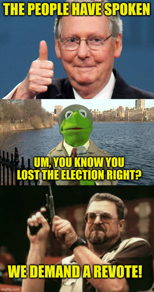 Remember when republicans weren't insane power hungry hypocrites? Ike? | THE PEOPLE HAVE SPOKEN; UM, YOU KNOW YOU LOST THE ELECTION RIGHT? WE DEMAND A REVOTE! | image tagged in trump republicans and guns,kermit news report,memes,am i the only one around here | made w/ Imgflip meme maker