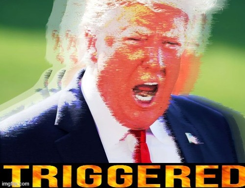 Donald Trump triggered | image tagged in donald trump triggered | made w/ Imgflip meme maker