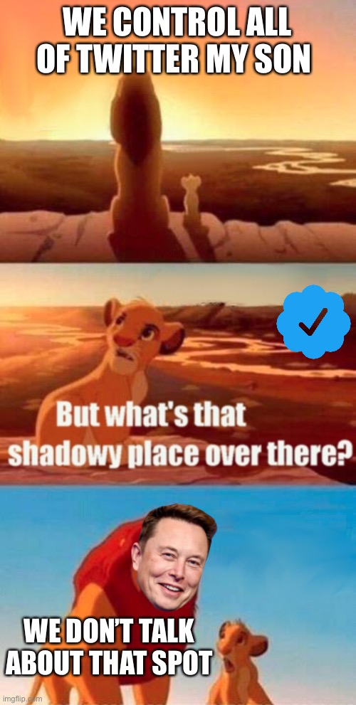 Simba Shadowy Place | WE CONTROL ALL OF TWITTER MY SON; WE DON’T TALK ABOUT THAT SPOT | image tagged in memes,simba shadowy place | made w/ Imgflip meme maker