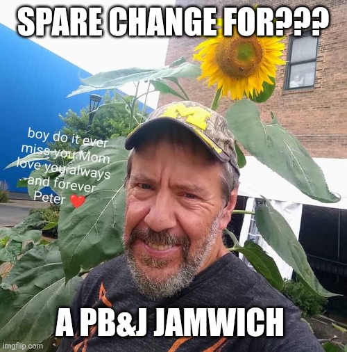 Spare Change For? | SPARE CHANGE FOR??? A PB&J JAMWICH | image tagged in peter plant,peanut butter,jelly,funny memes,change,homeless | made w/ Imgflip meme maker