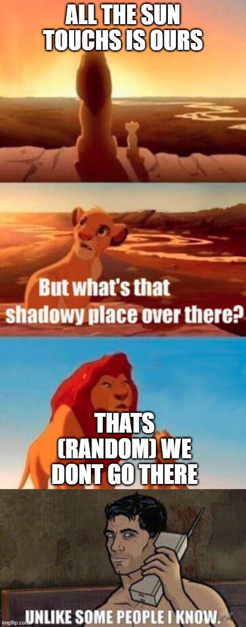 meme template | ALL THE SUN TOUCHS IS OURS; THATS (RANDOM) WE DONT GO THERE | image tagged in memes,simba shadowy place,custom template,unlike some people i know | made w/ Imgflip meme maker