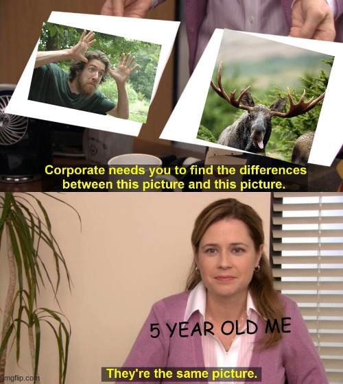 They are the same picture | 5 YEAR OLD ME | image tagged in they are the same picture | made w/ Imgflip meme maker
