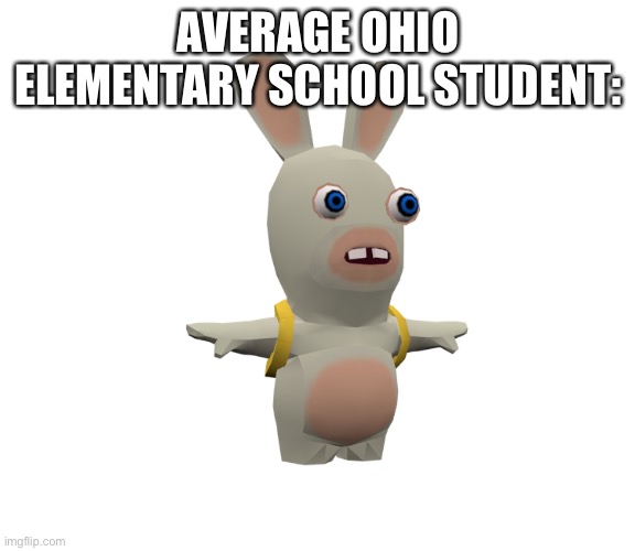 Why did I post this in middle school | AVERAGE OHIO ELEMENTARY SCHOOL STUDENT: | image tagged in rabbit,ohio state,ohio,ubisoft,school,elementary | made w/ Imgflip meme maker