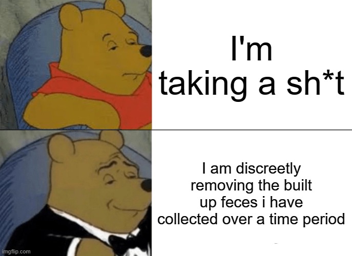discreetly ofc | I'm taking a sh*t; I am discreetly removing the built up feces i have collected over a time period | image tagged in memes,tuxedo winnie the pooh,funny,fun,original meme,e | made w/ Imgflip meme maker