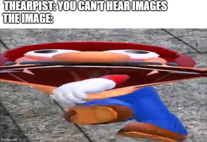 SMG4 mario screaming | THEARPIST: YOU CAN'T HEAR IMAGES                 
THE IMAGE: | image tagged in smg4 mario screaming | made w/ Imgflip meme maker