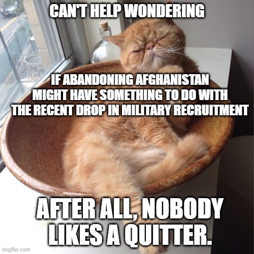 Wondering cat | CAN'T HELP WONDERING IF ABANDONING AFGHANISTAN MIGHT HAVE SOMETHING TO DO WITH THE RECENT DROP IN MILITARY RECRUITMENT AFTER ALL, NOBODY LIK | image tagged in wondering cat | made w/ Imgflip meme maker