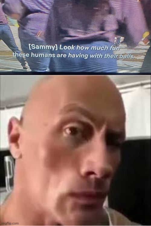 Hmmmm | image tagged in netflix,the rock eyebrows,balls | made w/ Imgflip meme maker