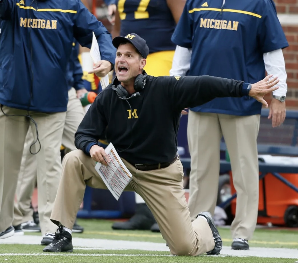 High Quality Jim Harbaugh Blank Meme Template