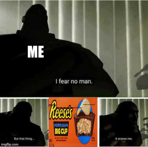 Whose idea was this? | ME | image tagged in i fear no man,chips | made w/ Imgflip meme maker