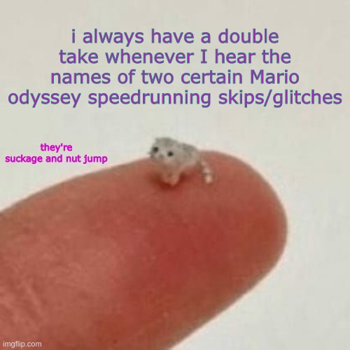 i can't ever see the words "suck" "nut" or "balls" the same anymore | i always have a double take whenever I hear the names of two certain Mario odyssey speedrunning skips/glitches; they're
suckage and nut jump | image tagged in drm's el wiwi template | made w/ Imgflip meme maker