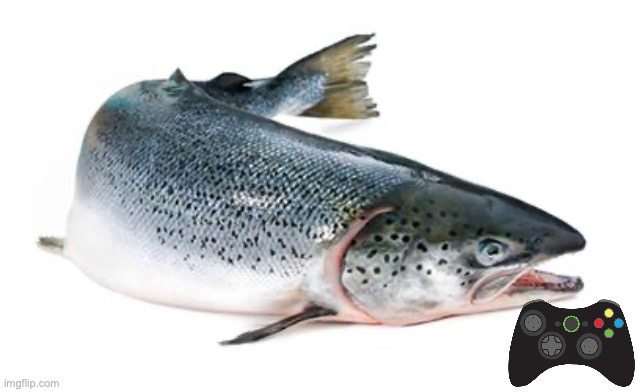 salmon | image tagged in salmon | made w/ Imgflip meme maker