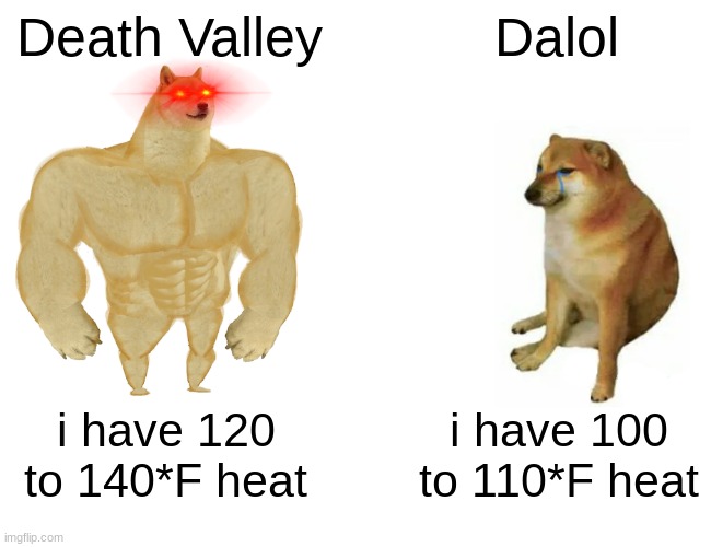 death valley vs. dalol | Death Valley; Dalol; i have 120 to 140*F heat; i have 100 to 110*F heat | image tagged in memes,buff doge vs cheems | made w/ Imgflip meme maker