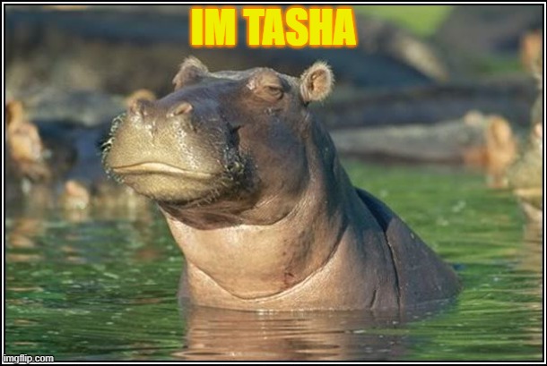 Skeptical Hippo | IM TASHA | image tagged in skeptical hippo,the backyardigans | made w/ Imgflip meme maker