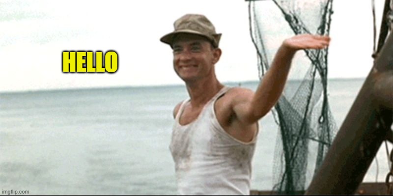 HELLO | image tagged in forest gump waving | made w/ Imgflip meme maker