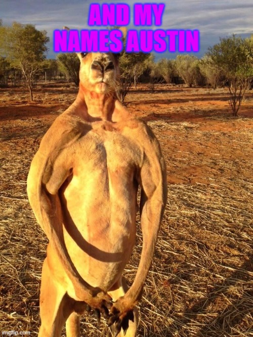 Buff Kangaroo | AND MY NAMES AUSTIN | image tagged in buff kangaroo,the backyardigans | made w/ Imgflip meme maker