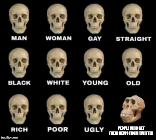 idiot skull | PEOPLE WHO GET THEIR NEWS FROM TWITTER | image tagged in idiot skull | made w/ Imgflip meme maker