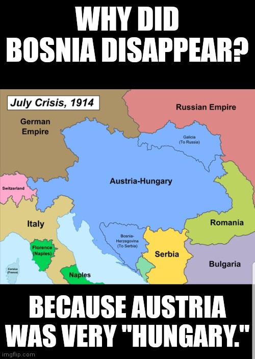 Bosnian Annexation | WHY DID BOSNIA DISAPPEAR? BECAUSE AUSTRIA WAS VERY "HUNGARY." | image tagged in history,fun,bosnia | made w/ Imgflip meme maker