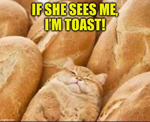 IF SHE SEES ME,
I’M TOAST! | made w/ Imgflip meme maker