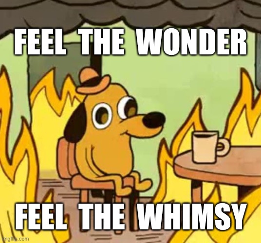 Its fine | FEEL  THE  WONDER; FEEL  THE  WHIMSY | image tagged in its fine | made w/ Imgflip meme maker