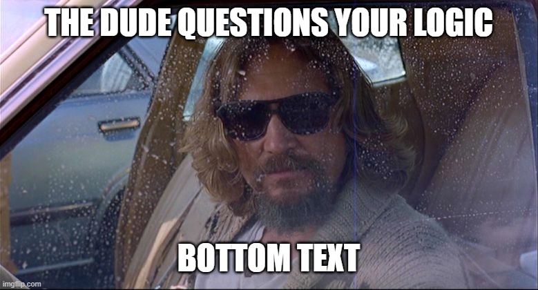 The Dude Questions Your Logic | THE DUDE QUESTIONS YOUR LOGIC BOTTOM TEXT | image tagged in the dude questions your logic | made w/ Imgflip meme maker