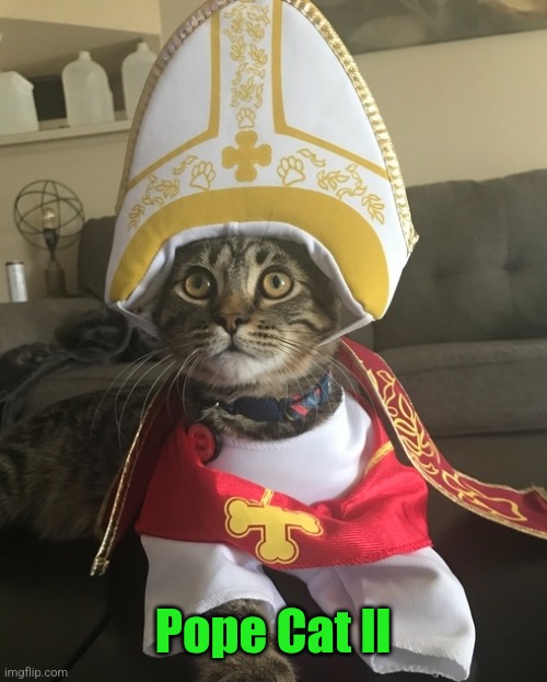 Pope Cat ll | made w/ Imgflip meme maker