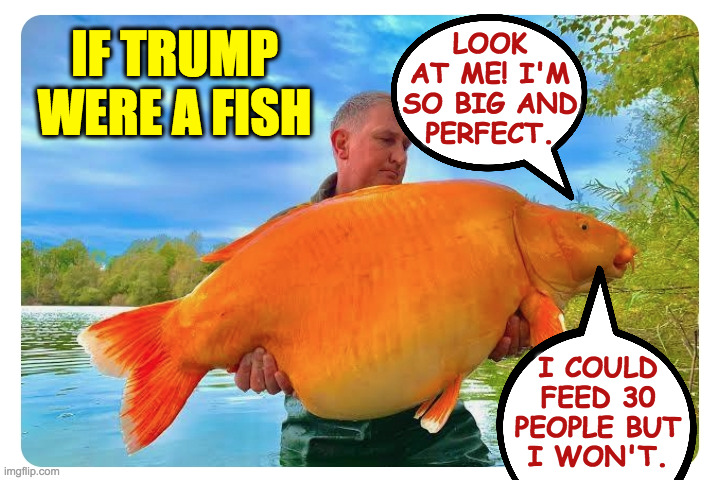 "OK, Nathan, put me back in the water." | IF TRUMP WERE A FISH; LOOK
AT ME! I'M
SO BIG AND
PERFECT. I COULD
FEED 30
PEOPLE BUT
I WON'T. | image tagged in memes,trump fish | made w/ Imgflip meme maker