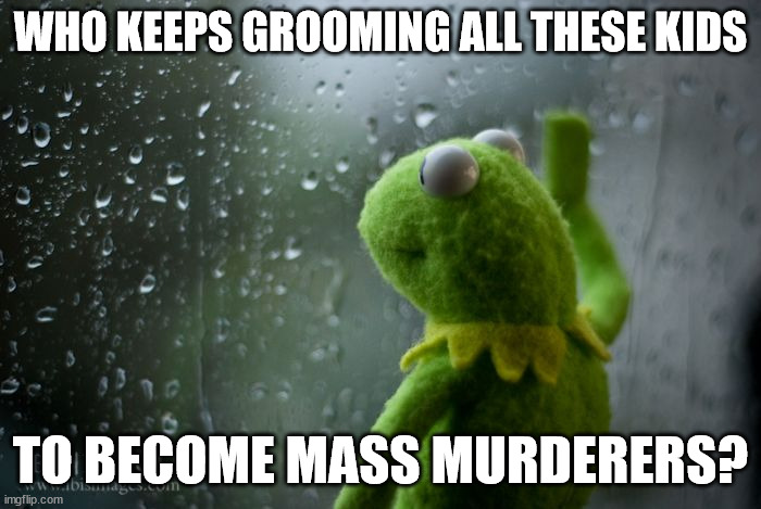 kermit window | WHO KEEPS GROOMING ALL THESE KIDS; TO BECOME MASS MURDERERS? | image tagged in kermit window | made w/ Imgflip meme maker