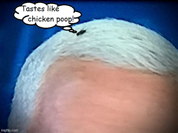 Tastes like??? | image tagged in mike pence,fly,chicken,2024 election,bad dog | made w/ Imgflip meme maker