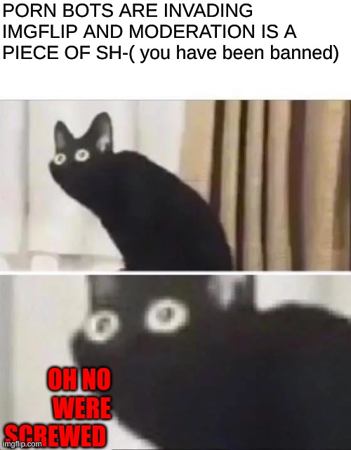 Oh No Black Cat | PORN BOTS ARE INVADING IMGFLIP AND MODERATION IS A PIECE OF SH-( you have been banned) OH NO WERE SCREWED | image tagged in oh no black cat | made w/ Imgflip meme maker