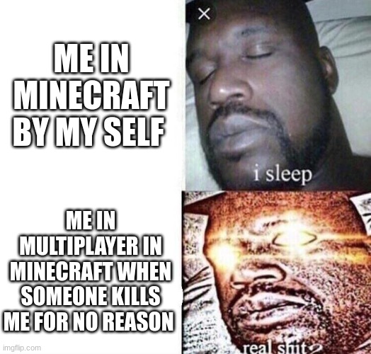 why i do not play multiplayer | ME IN MINECRAFT BY MY SELF; ME IN MULTIPLAYER IN MINECRAFT WHEN SOMEONE KILLS ME FOR NO REASON | image tagged in i sleep real shit,that moment when you die in minecraft,funny memes | made w/ Imgflip meme maker